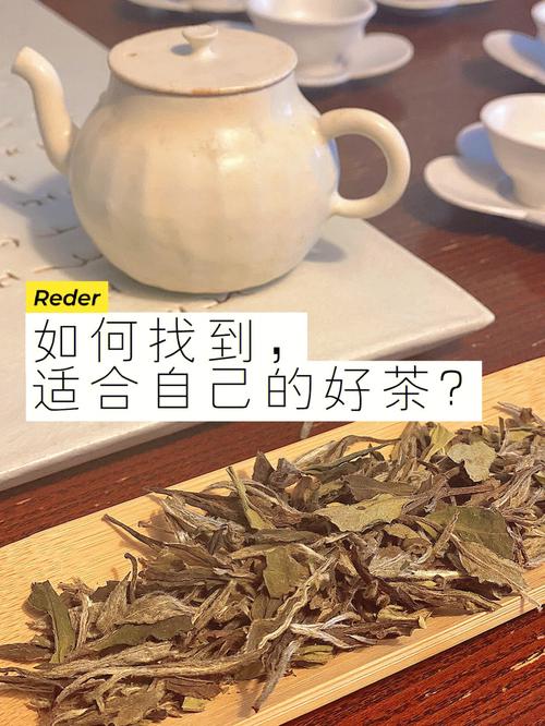 白茶编程：探索优雅的编程艺术