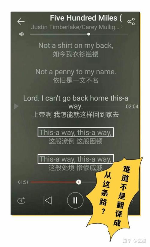 网易云翻译app