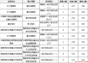 第二届一带一路国际技能大赛全球技能交流的新里程碑