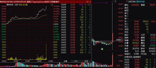 国林科技：公司目前暂未涉及氢能源相关产业