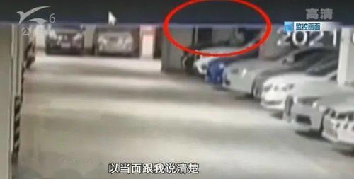 回应团队背刺郭碧婷已经向郭碧婷道歉