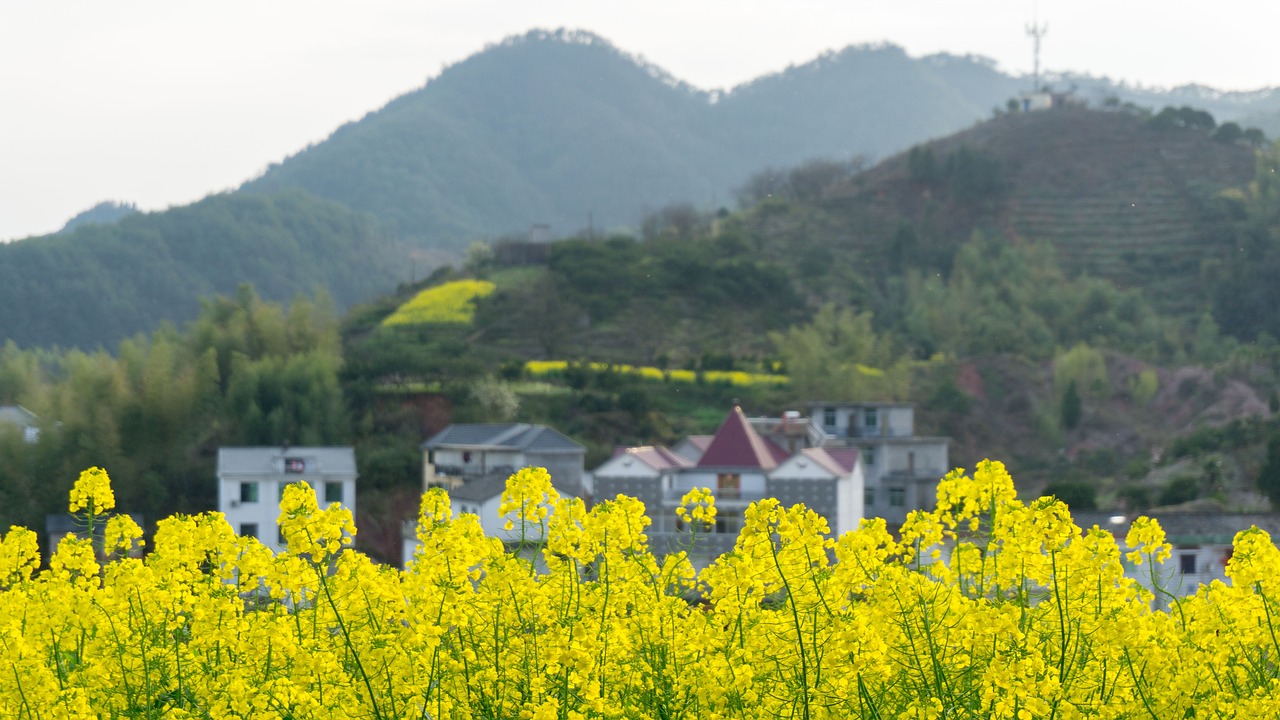 探索川西风光，从成都出发，畅游神秘的茂县之旅