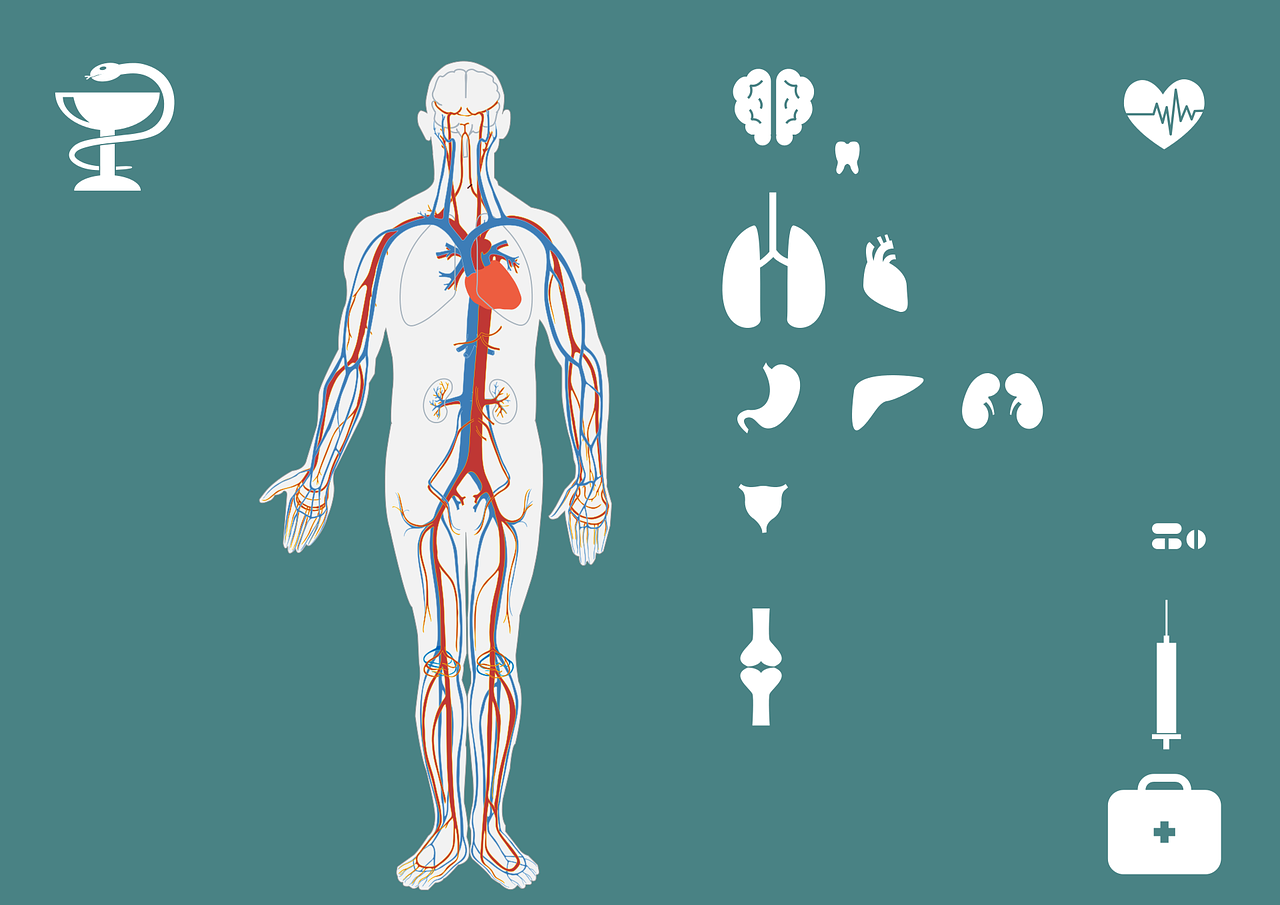 北京新举措，进入聚集场所人员须接种疫苗，健康与责任并重